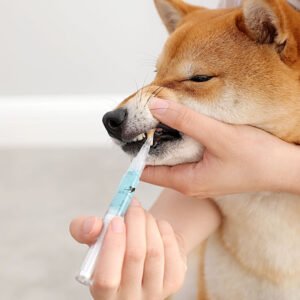 Teeth Cleaning Pen