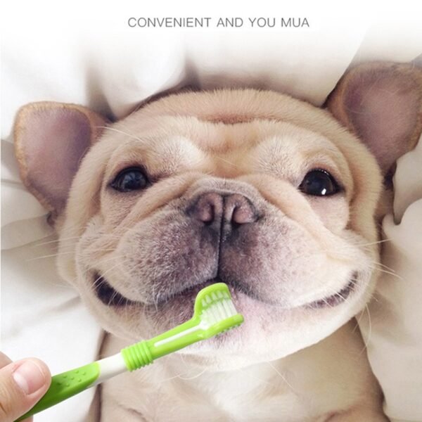 Pet Toothbrush Kit